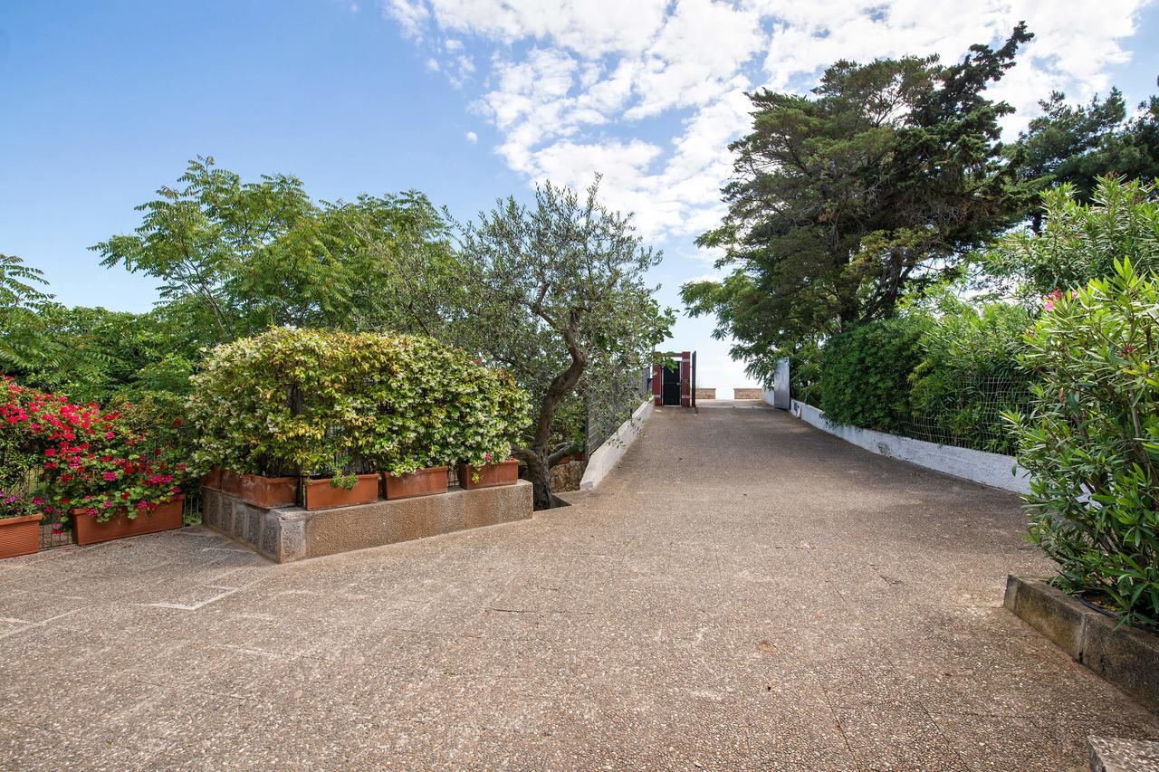 B&B Amoredimare Villa Polignano a Mare Esterno foto