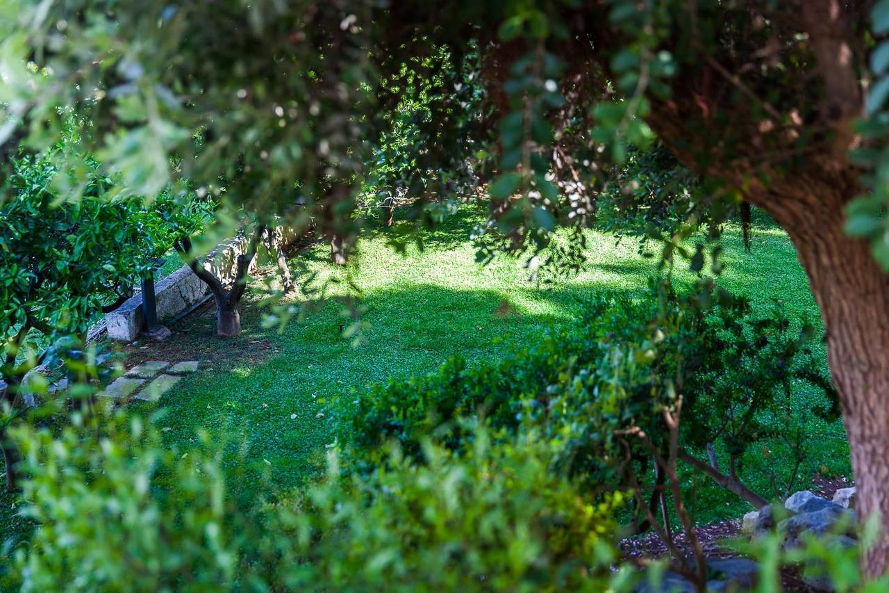 B&B Amoredimare Villa Polignano a Mare Esterno foto