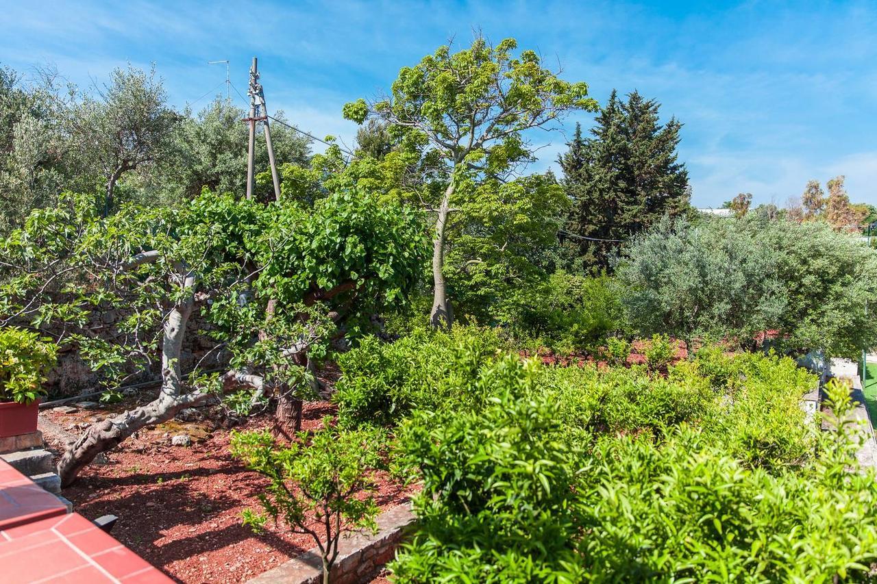 B&B Amoredimare Villa Polignano a Mare Esterno foto